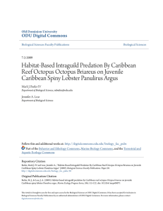 Habitat-Based Intraguild Predation By Caribbean Reef Octopus