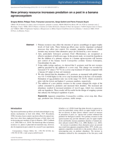 New primary resource increases predation on a pest in a banana