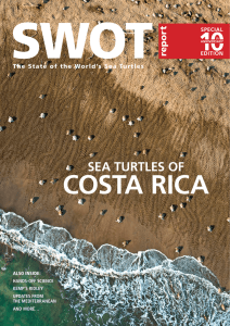 sea turtles of - Ecology Project International