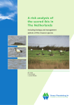 A risk analysis of the sacred ibis in the Netherlands