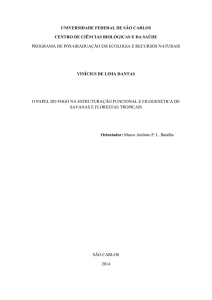 O papel do fogo na estruturação funcional e filogenética de savanas