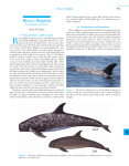 Encyclopedia of Marine Mammals, Second Edition