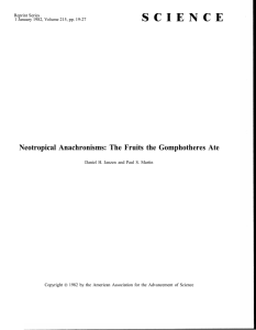 Neotropical Anachronisms: The Fruits the Gomphotheres Ate