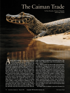 The Caiman Trade - AP Environmental Science