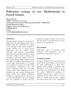 Pollination ecology of two Dieffenbachia in French Guiana