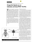 Article 85: Dragonfly Naiads as an Indicator of Pond Water Quality