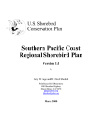Southern Pacific Coast Regional Shorebird Plan