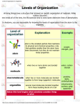 Levels of Organization for Organisms