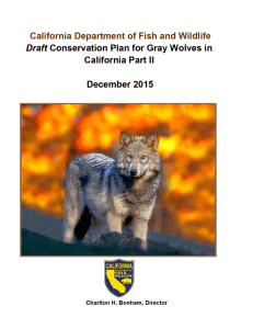 Draft Conservation Plan for the Gray Wolves in