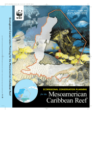 Mesoamerican Caribbean Reef - the ERI Publication Repository
