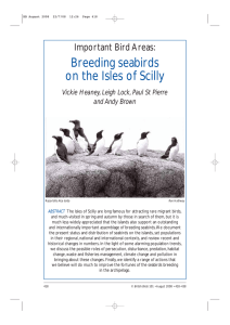 Breeding seabirds on the Isles of Scilly