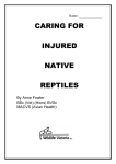 CARING FOR INJURED NATIVE REPTILES – NTWC
