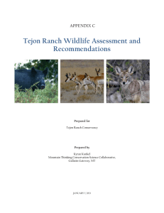 wildlife management practices
