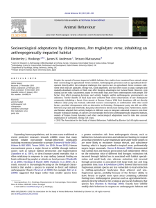 Socioecological adaptations by chimpanzees, Pan troglodytes verus