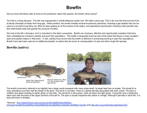 Bowfin Facts - Rock Lake Improvement Association