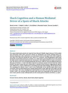 PDF - Shark Research Institute
