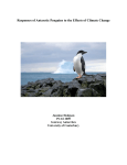 Responses of Antarctic Penguins to the Effects of Climate Change