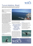 Tucuxi dolphins, Brazil - Whale and Dolphin Conservation