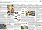 Moths with relation to plants` pyrrolizidine alkaloids in El Bosque