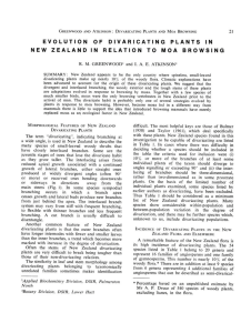 EVOLUTION OF DIVARICATING PLANTS IN NEW ZEALAND IN