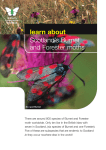 Scotland`s Burnet and Forester Moths