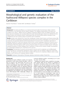Morphological and genetic evaluation of the hydrocoral Millepora