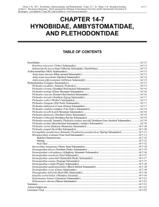 Chapter 14-7 Hynobiidae, Ambystomatidae, and Plethodontidae