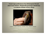 Forest type preference of an Afrotropical thrush (East Coast Akalat