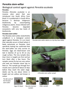 Pereskia stem-wilter Biological control agent against Pereskia