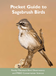 Sagebrush Birds - Point Blue Conservation Science