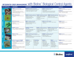 integrAted CroP mAnAgement with Bioline™ Biological