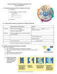 Keystone Module B: Continuity and Unity of Life Top Twelve Review