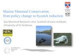 Marine Mammal Conservation: from policy change to bycatch