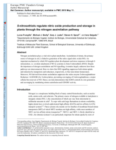 S-nitrosothiols regulate nitric oxide production and storage in plants