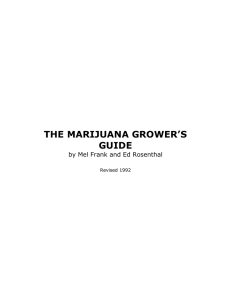 THE MARIJUANA GROWER`S GUIDE