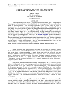 Overview of Liriope and Ophiopogon