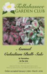 Annual Caladium Bulb Sale