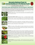 Alternative Medicinal Plants For Livestock Healthcare In The