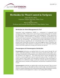 Herbicides for Weed Control in Turfgrass