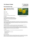 The Planter`s Palette Plant Information Page