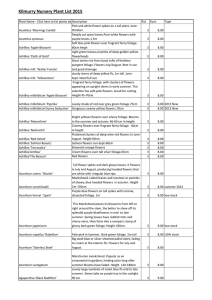 Kilmurry Nursery Plant List 2015