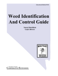 Weed Identification and Control Guide
