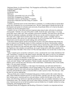 Marijuana Botany An Advanced Study