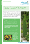 Easy Dwarf Shrubs - Alpine Garden Society