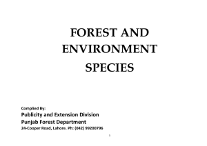 Forest and Environmental Species