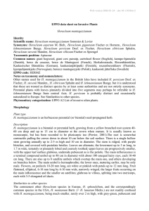 data sheet on Invasive Plants