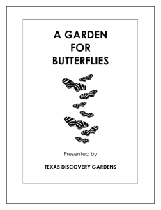 a garden for butterflies - Texas Discovery Gardens