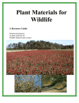 Plant Materials for Wildlife - Kester Wild Game Food Nurseries INC.