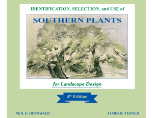 Southern Plants