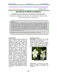 review on plumeria acuminata